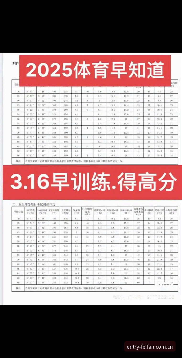 非凡体育入口2025全面评测：新版性能、安全与用户体验深度报告